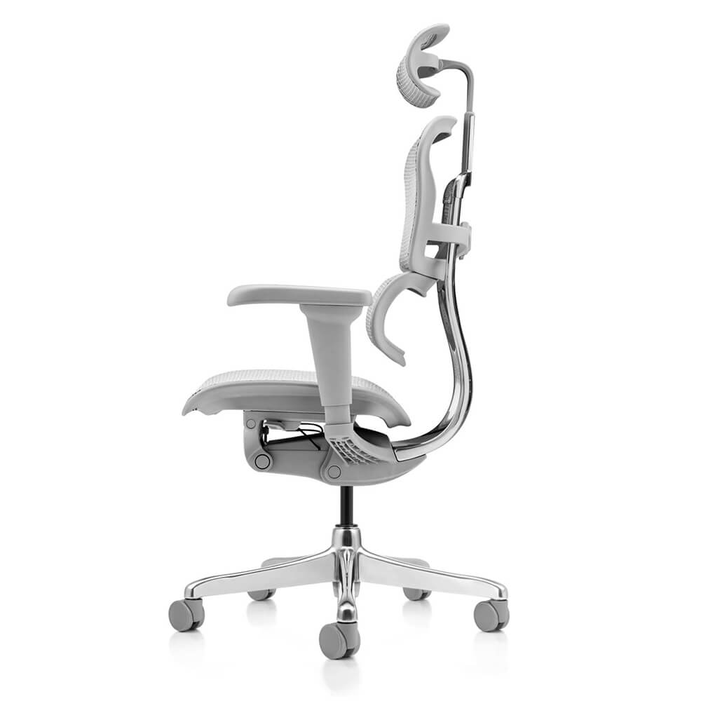 เก้าอี้เพื่อสุขภาพ DF PROCHAIR รุ่น Ergo Elite Ultra สีเทา